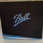 Ball exhibition wall